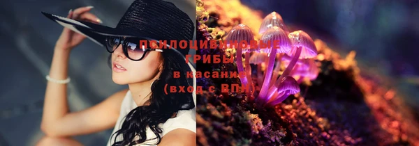 мет Аркадак