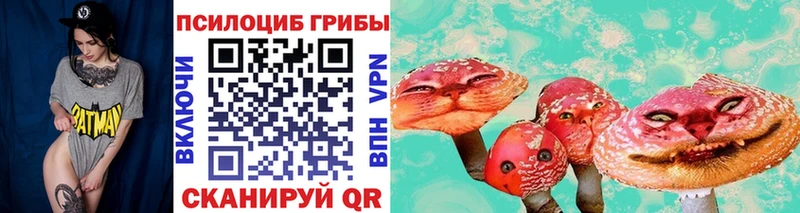 Псилоцибиновые грибы MAGIC MUSHROOMS закладка Лахденпохья